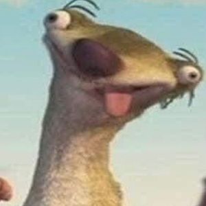 Meet your Posher, Paulina